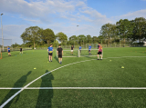 Laatste training seizoen 2023-2024 van 1e selectie S.K.N.W.K. (voetvolleytoernooitje) van donderdag 25 mei 2024 (7/314)